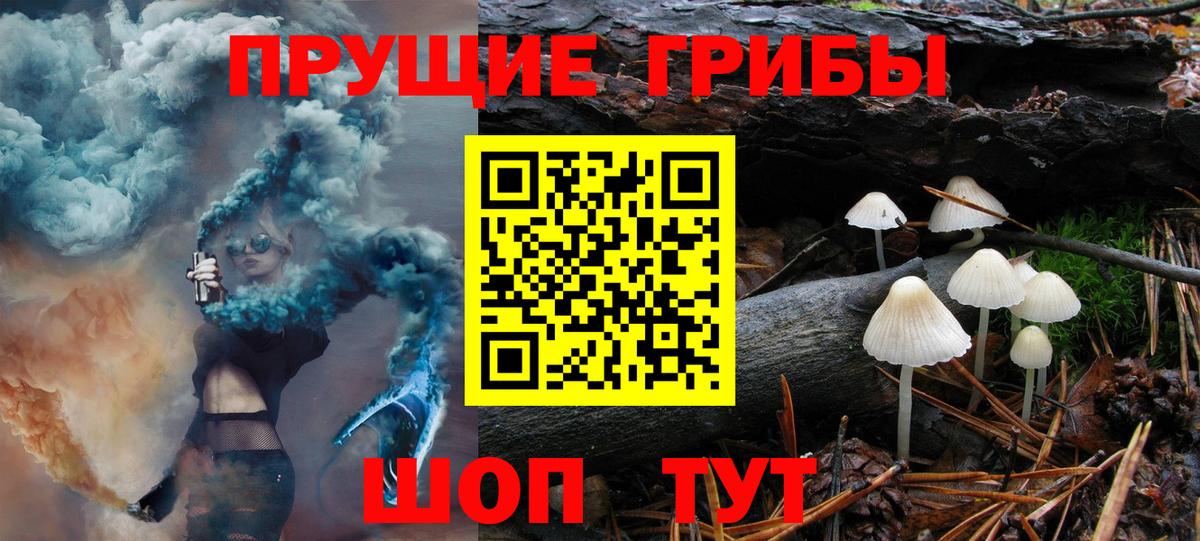 Сергиев Посад  Псилоцибиновые грибы мухоморы  Вход с VPN  Псилоцибиновые грибы мицелий 