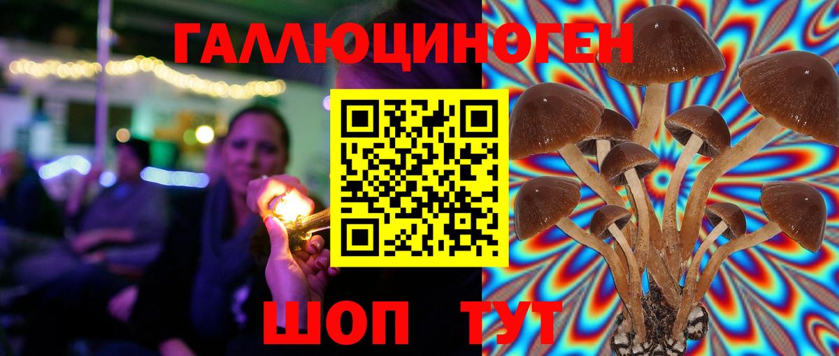Псилоцибиновые грибы Psilocybine cubensis Сергиев Посад
